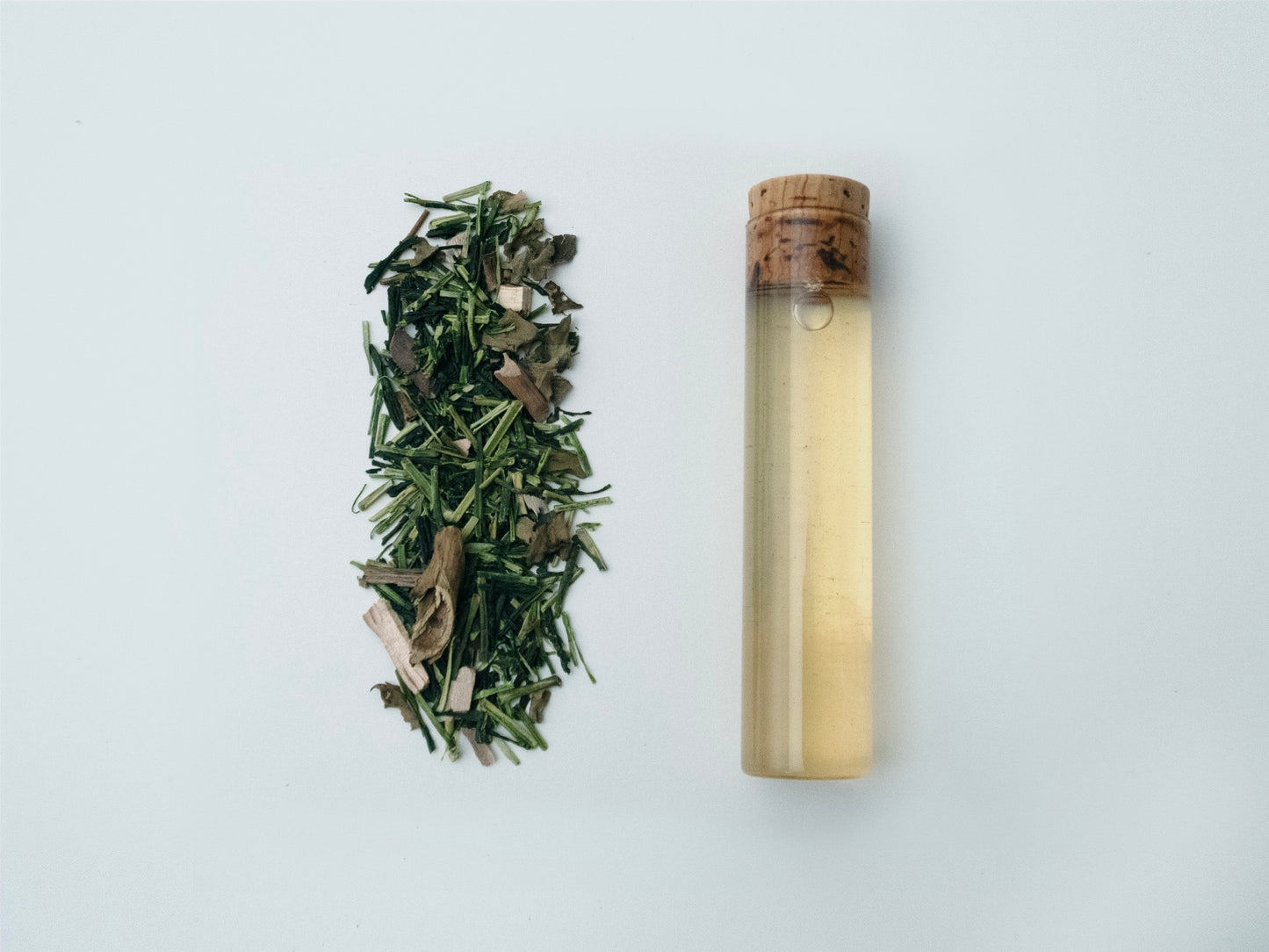 No.438 Blend of Karigane Green Tea and Evening Primrose and Kuromoji