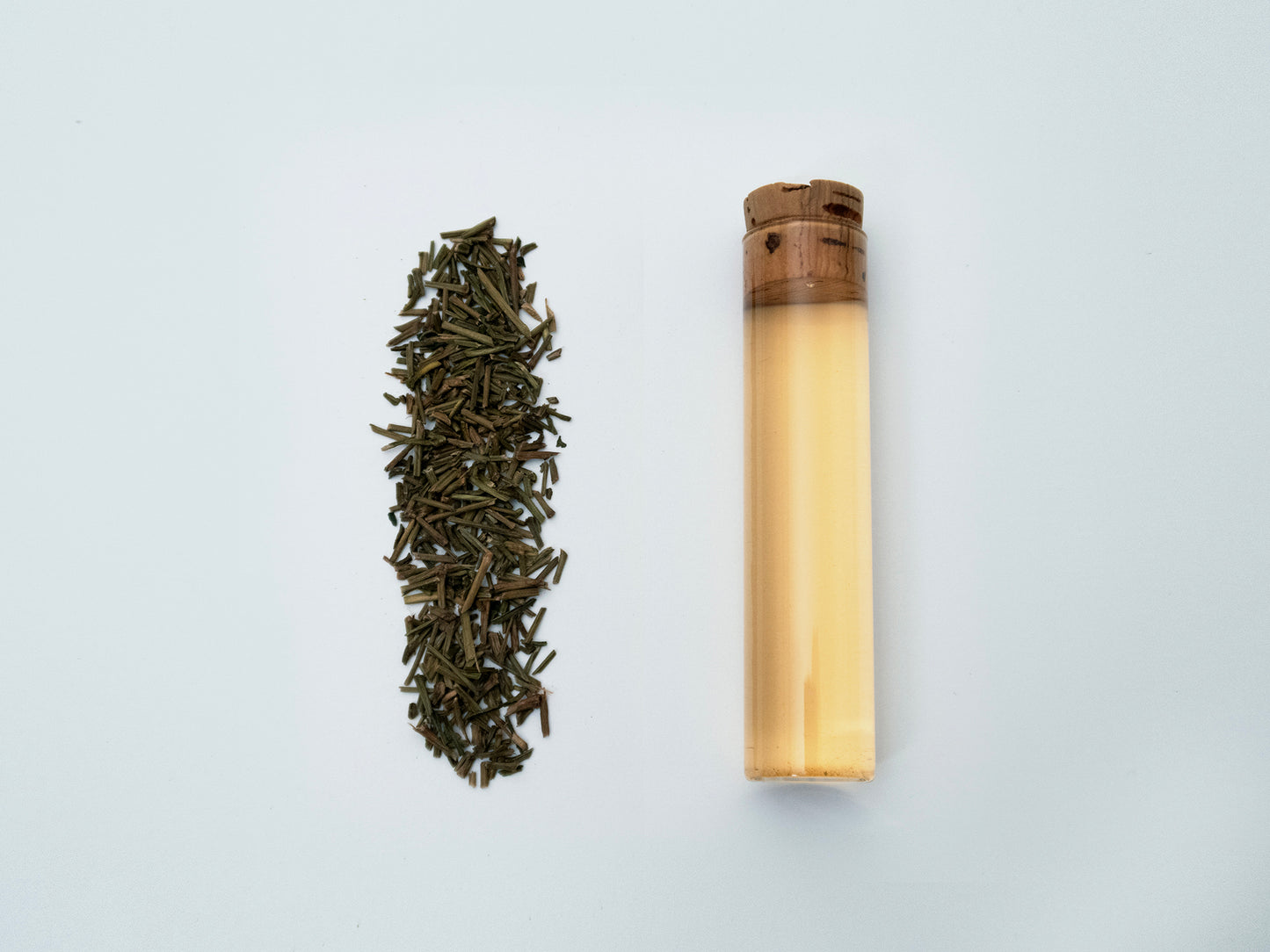 Stem Hojicha "Okumidori" from Kagoshima