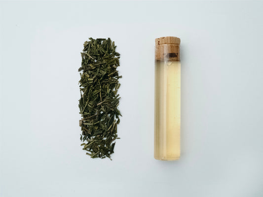 Hojicha "Yumewakaba" from Saitama