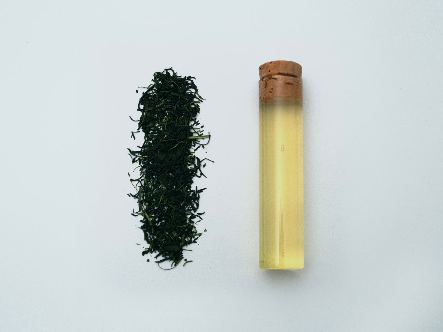 Steamed Curled Tea "Asatsuyu" from Nagasaki