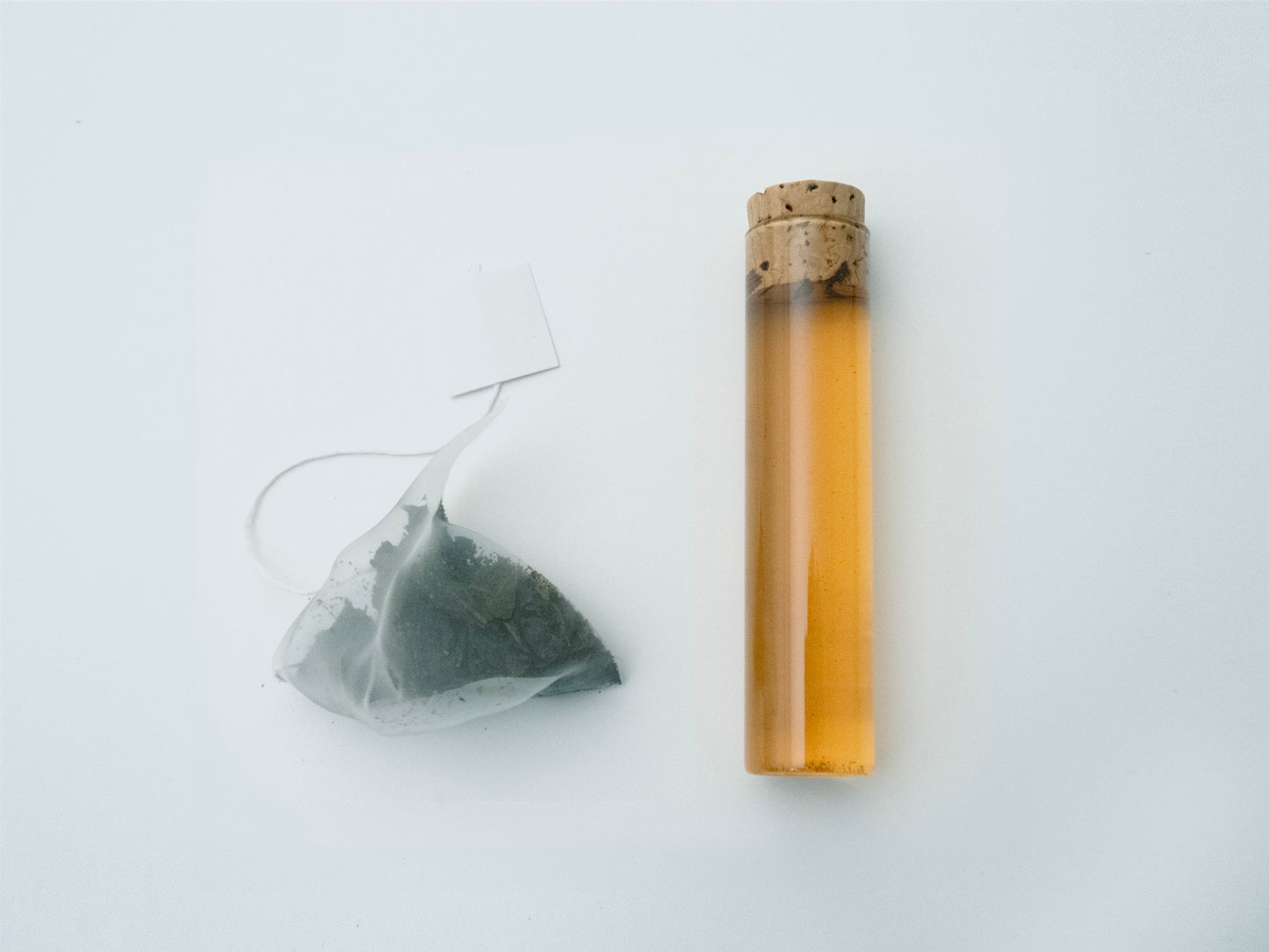 TEA BAG FERMENT
