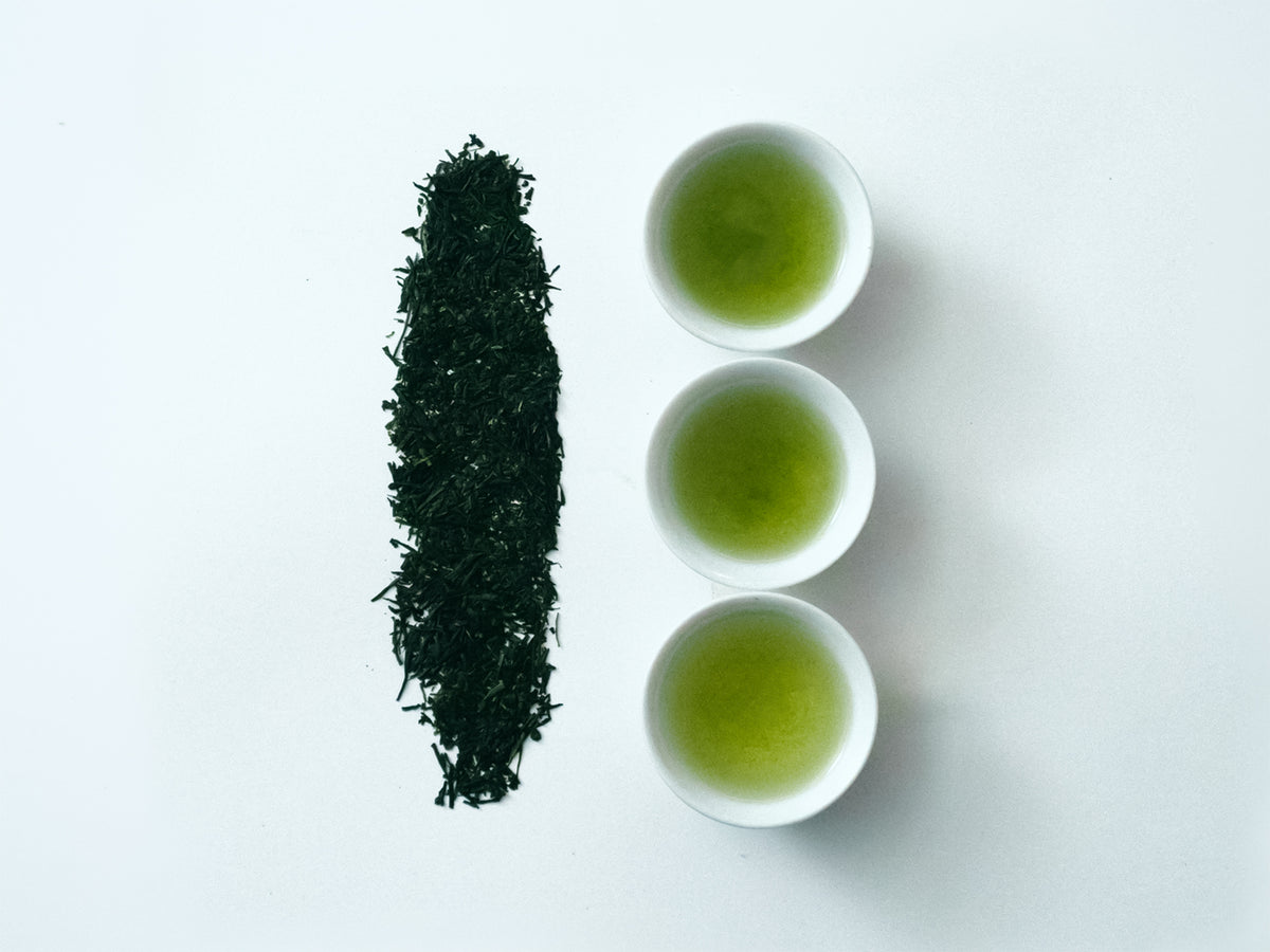 Normal-steamed Sencha "Shizu7132" from Shizuoka