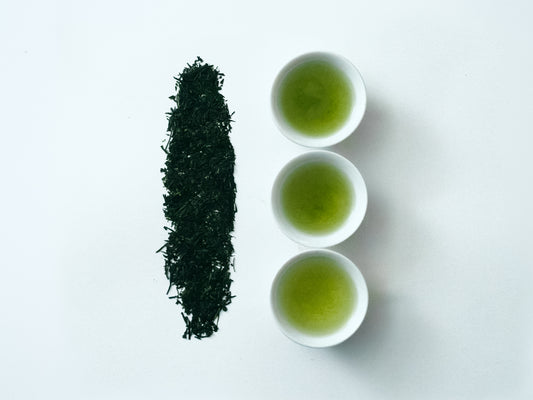 中蒸煎茶 藤緑 八女 ＜旨味・余韻＞