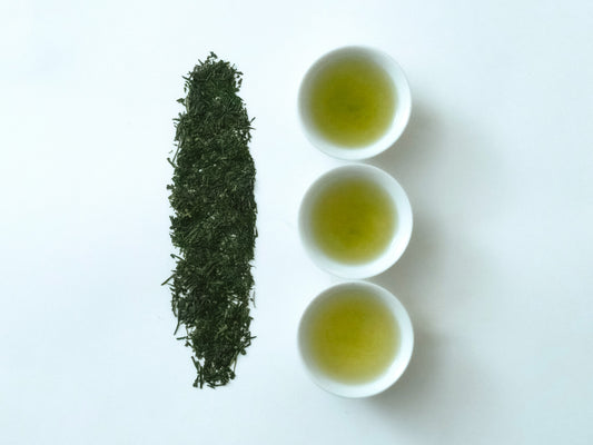 中蒸煎茶 藤緑 八女 ＜旨味・余韻＞