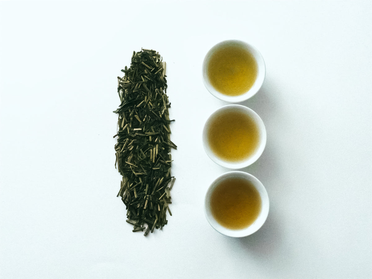 No.1 浅炒り焙じ茶 ＜渋味・ハーブ＞