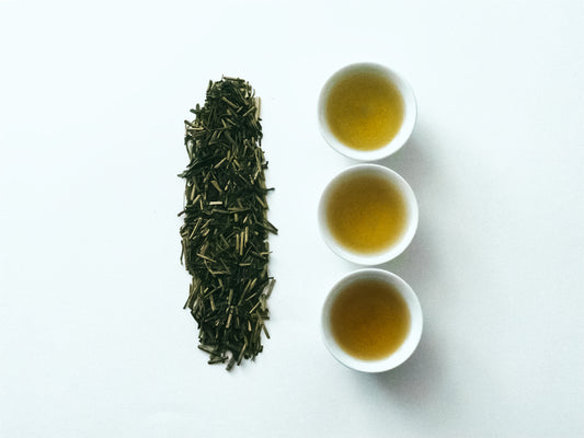 No.1 浅炒り焙じ茶 ＜渋味・ハーブ＞