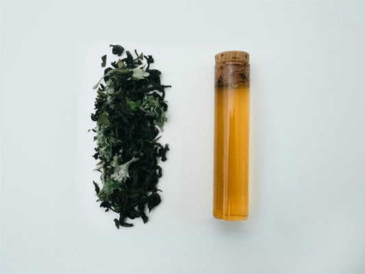 No.450 紅茶と蓬、ベルガモットの葉のブレンド茶 ＜フローラル・ハーブ＞