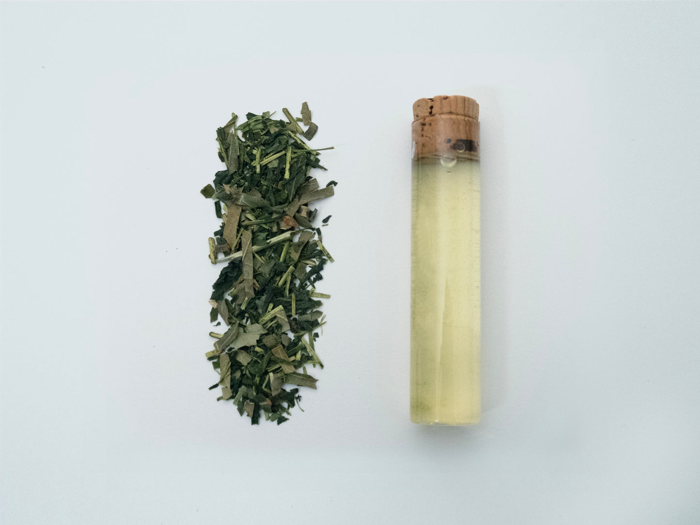 No. 454 Sencha, Pine Needle, Black Kuromoji Leaf, and Lemon Peel Blend Tea <Herbal, Lingering>