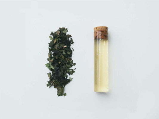 No.453 阿波番茶と三年番茶、枇杷の葉、山椒の葉のブレンド茶 ＜ハーブ・甘み＞