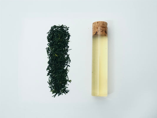 【2026年新茶】〔生仕上げ〕普通蒸煎茶 しゅんたろう 鹿児島