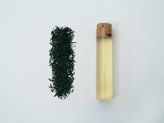 【2026年新茶】普通蒸煎茶 しゅんたろう 鹿児島