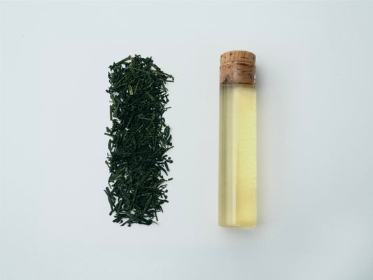 Hand-picked Normal-steamed Sencha "Yabukita" from Gifu
